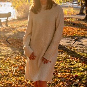 Ivory cream sparkle holiday sweater dress long sleeve